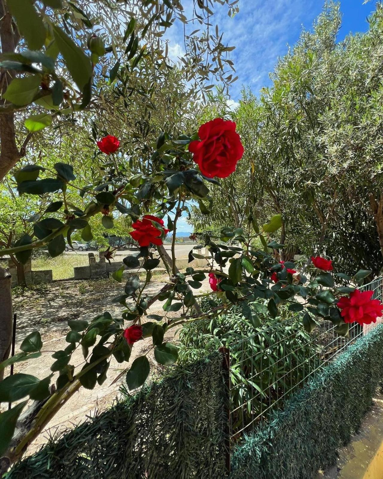 Azzurra Fronte Mare Holiday home